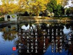 2018年南京林業(yè)大學工商管理碩士MBA調劑通知