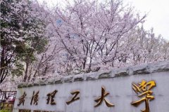 廣東MBA考研調(diào)劑武漢理工大學(xué)有什么條件？