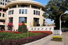 2021年武漢理工大學MPA雙證廣東班調(diào)劑簡章
