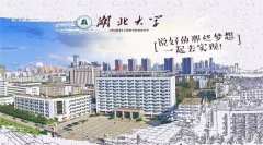 湖北大學工商管理MBA調劑VIP通道