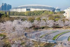 2022年MBA項(xiàng)目復(fù)試網(wǎng)申流程 上海對(duì)外經(jīng)貿(mào)大學(xué)